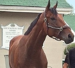 American Pharoah